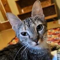 Thumbnail photo of Lia #3