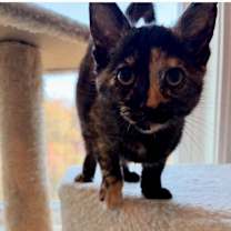 Thumbnail photo of Reny #2