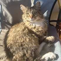 Thumbnail photo of Sadie #1