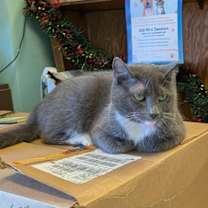 Thumbnail photo of Diva #2