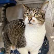 Thumbnail photo of Maya #1