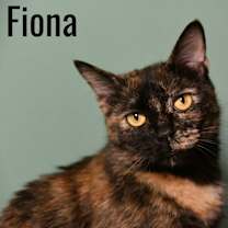 Thumbnail photo of Fiona #2