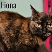 Thumbnail photo of Fiona #3