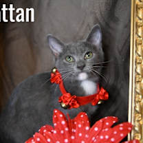 Thumbnail photo of Rattan #2