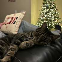 Thumbnail photo of Emmy #3