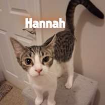 Thumbnail photo of Hannah #1