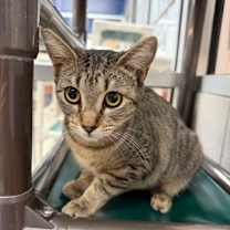 Thumbnail photo of Christmas #1