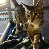 Thumbnail photo of Eggo #2