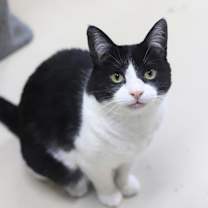 Thumbnail photo of Ela #1