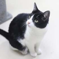 Thumbnail photo of Ela #2