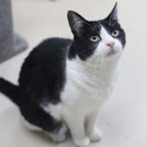 Thumbnail photo of Ela #3