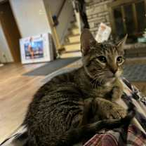 Thumbnail photo of Tate #4