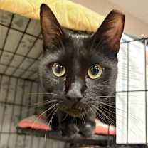 Thumbnail photo of George #1