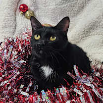 Thumbnail photo of Aqua #1