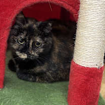 Thumbnail photo of Sideways #2