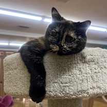 Thumbnail photo of Sideways #3