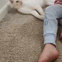 Thumbnail photo of Ignis/Iggy #4