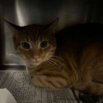 Thumbnail photo of Sunny #3