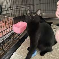 Thumbnail photo of Ariel #3