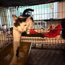 Thumbnail photo of Autry #2