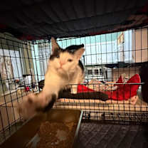 Thumbnail photo of Autry #3