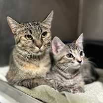 Thumbnail photo of River (Mom) #1