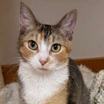 Thumbnail photo of Georgia #2