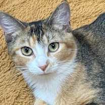 Thumbnail photo of Georgia #3