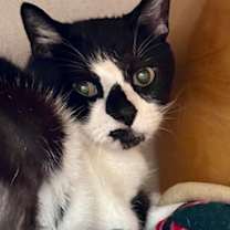 Thumbnail photo of Kacey #1