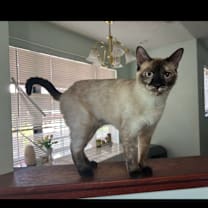 Thumbnail photo of Maggie #3