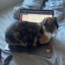 Thumbnail photo of Nutmeg #2