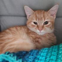 Thumbnail photo of Albert #1