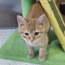 Thumbnail photo of Albert #4