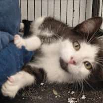 Thumbnail photo of Corrine #1