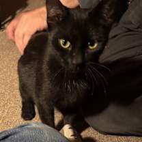 Thumbnail photo of Renee #1