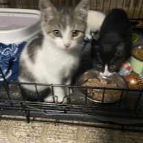 Thumbnail photo of G4 #3