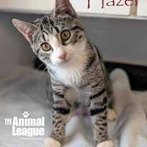 Thumbnail photo of Hazel #3