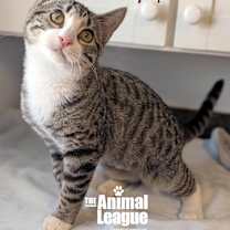 Thumbnail photo of Hazel #2