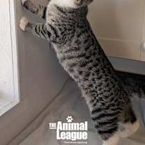 Thumbnail photo of Hazel #4