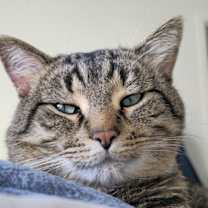 Thumbnail photo of Jordan #1