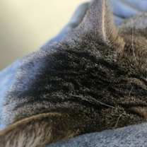 Thumbnail photo of Jordan #2