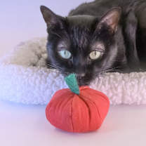 Thumbnail photo of Jupiter #1