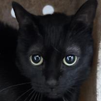 Thumbnail photo of Jupiter #4