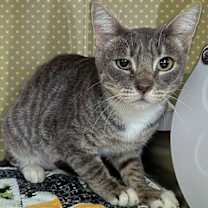 Thumbnail photo of Samantha #2