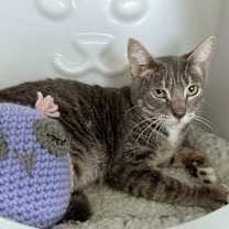 Thumbnail photo of Samantha #3