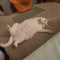 Thumbnail photo of Sachi #3