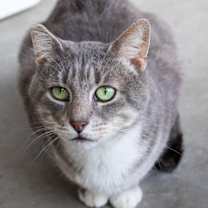 Thumbnail photo of Winston #2