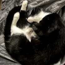 Thumbnail photo of Divine #3