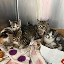 Thumbnail photo of Coach #2