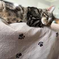 Thumbnail photo of Brucie #4